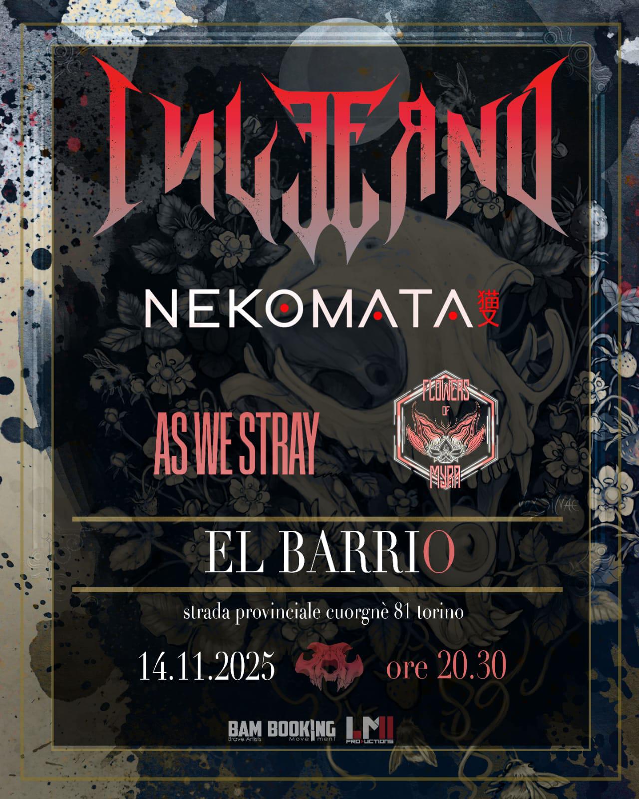 37a32e92-f155-88bb-655d-fdefe102c191